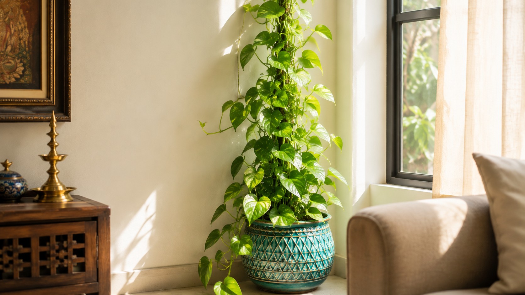 Money plant climbing upward in a blue pot as per Vastu to attract wealth