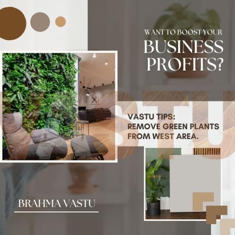 Vastu Tips